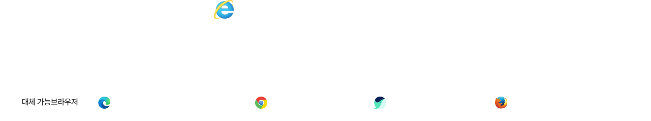 ie안내